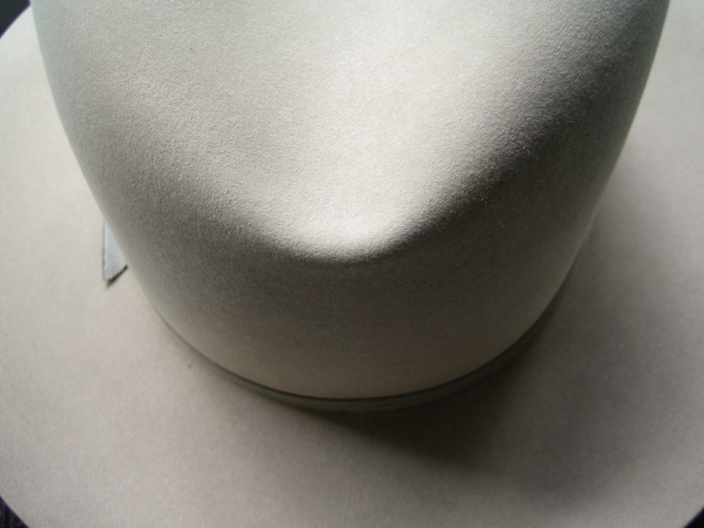 vicuna5.jpg