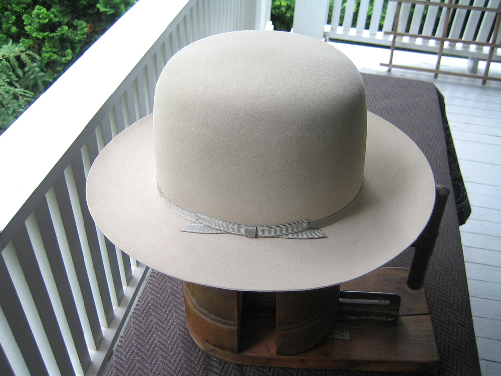 vicuna9.jpg