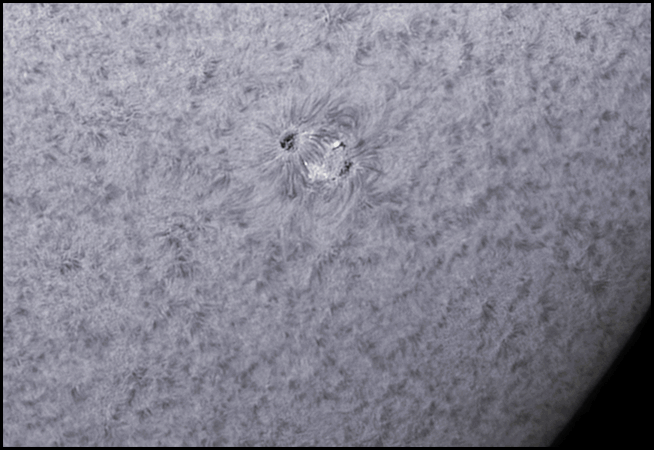 AR 1004