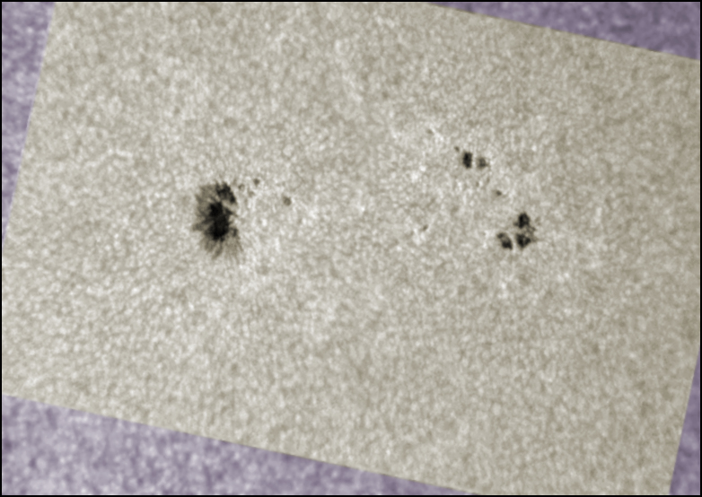 AR1005