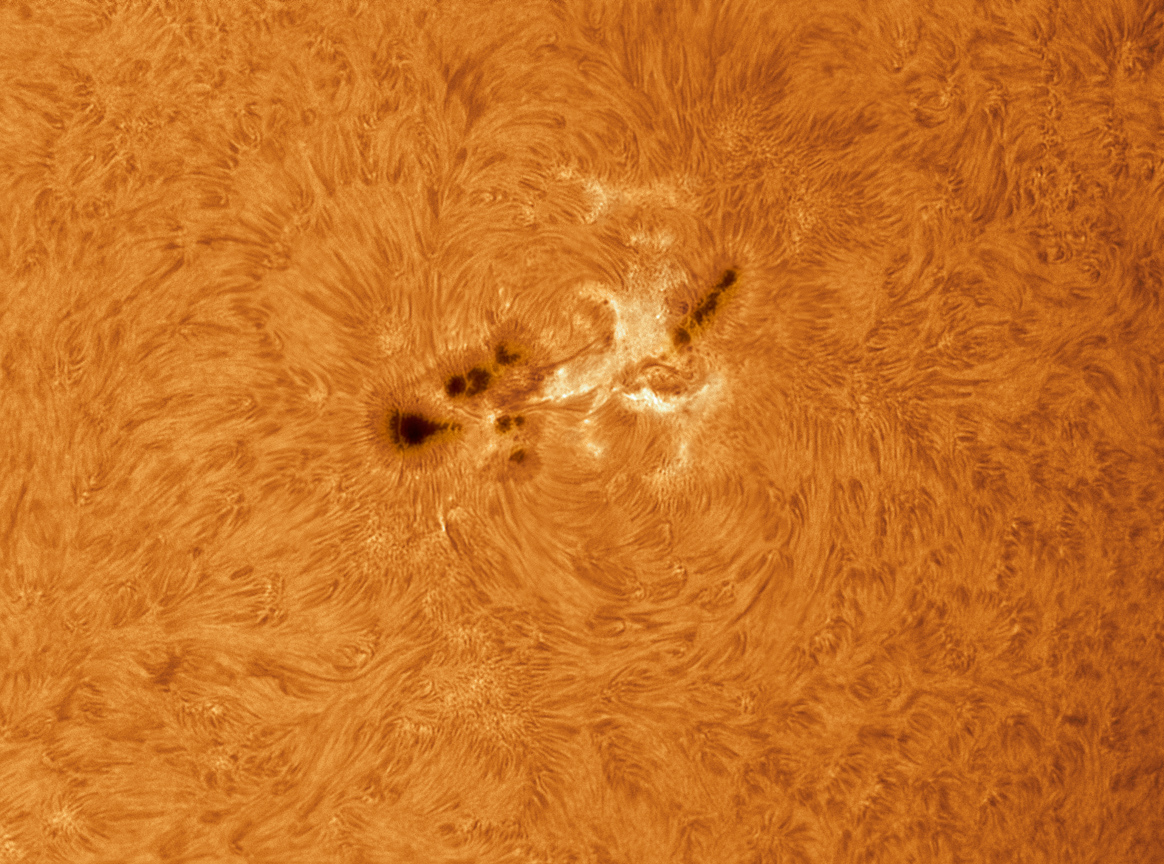 AR1339