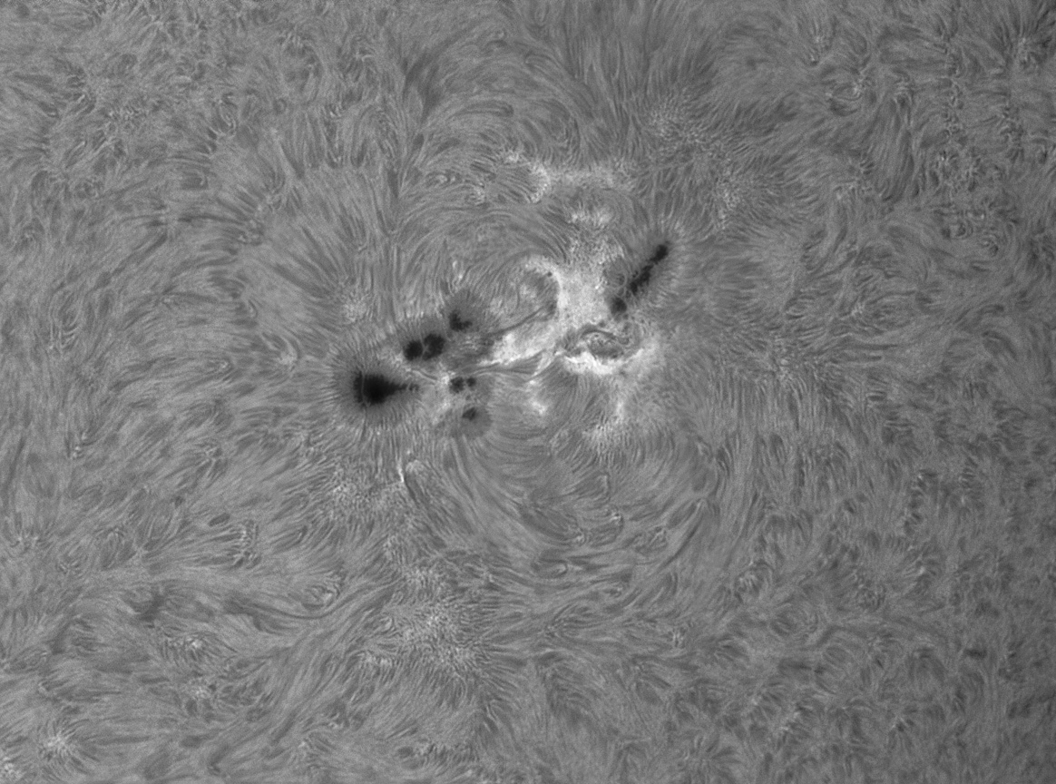 Saulės dėmė AR1339 iš arčiau. Alano Friedmano nuotr.