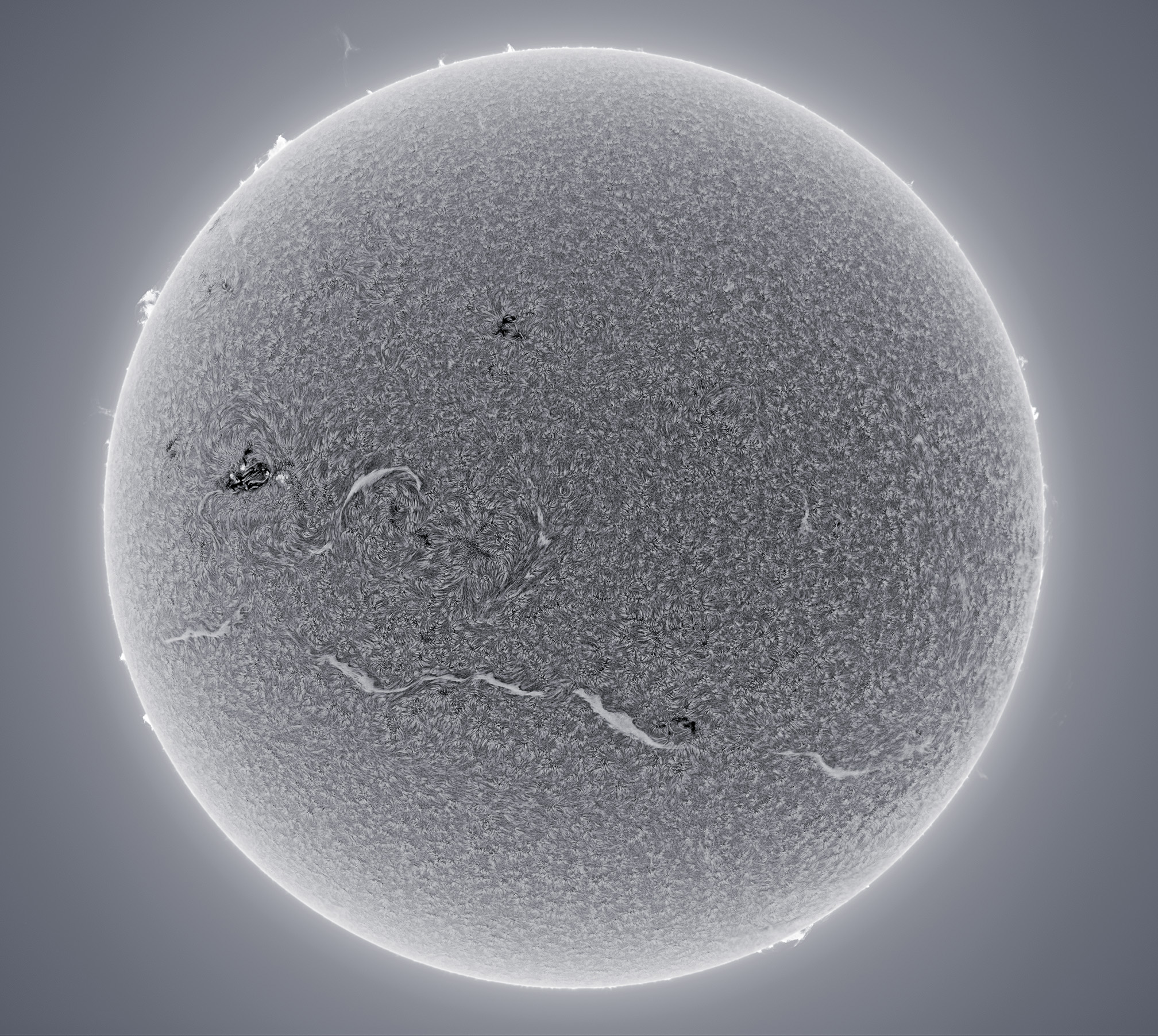 cheri's sun