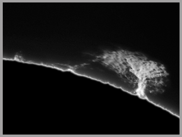 Alan Friedman/ bonsai prominence