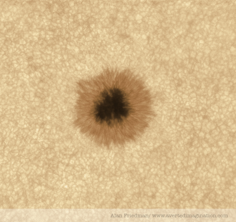 the dot
