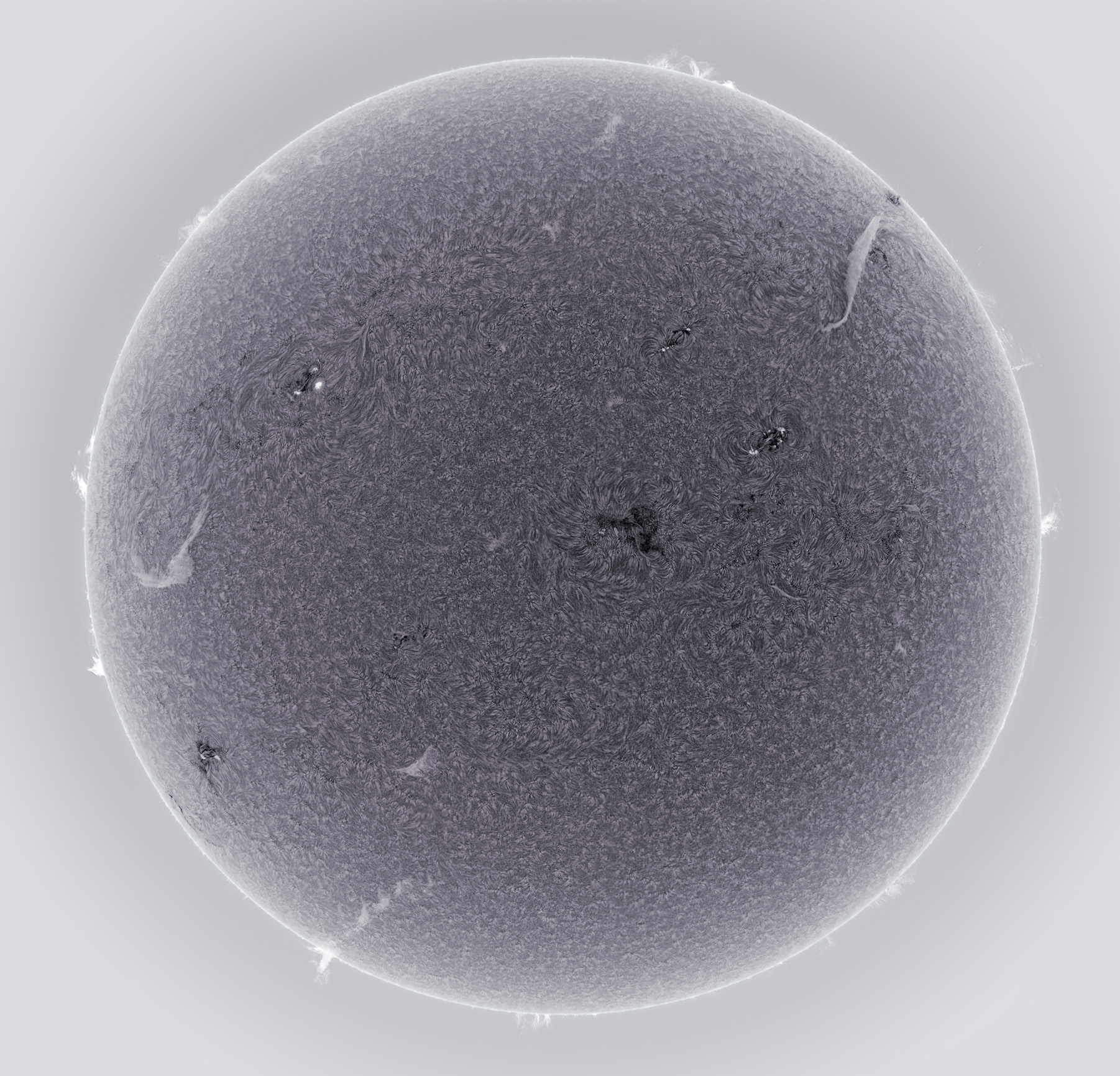 filamentary sun