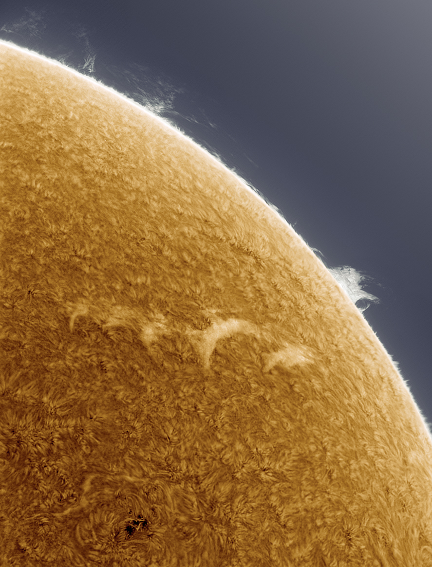 reaching for the limb