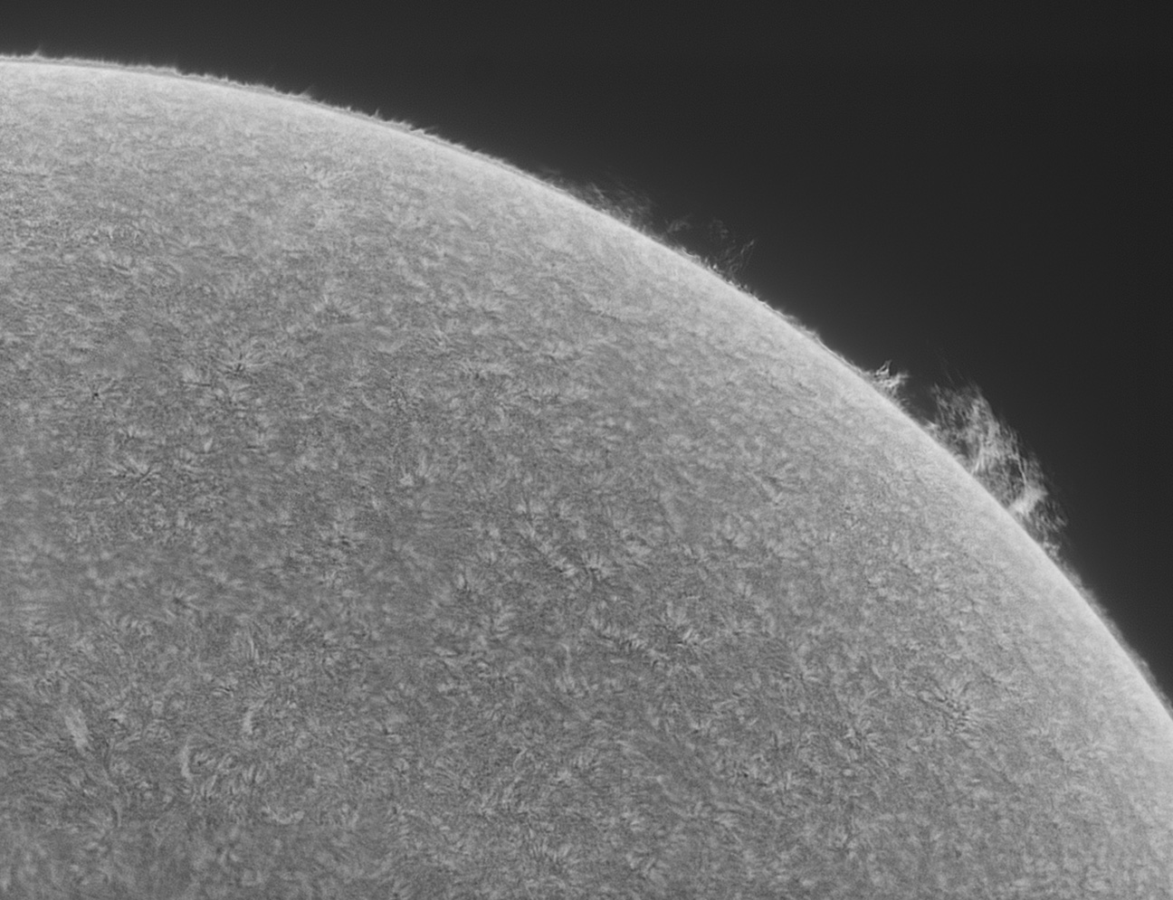 splatter sun B&W