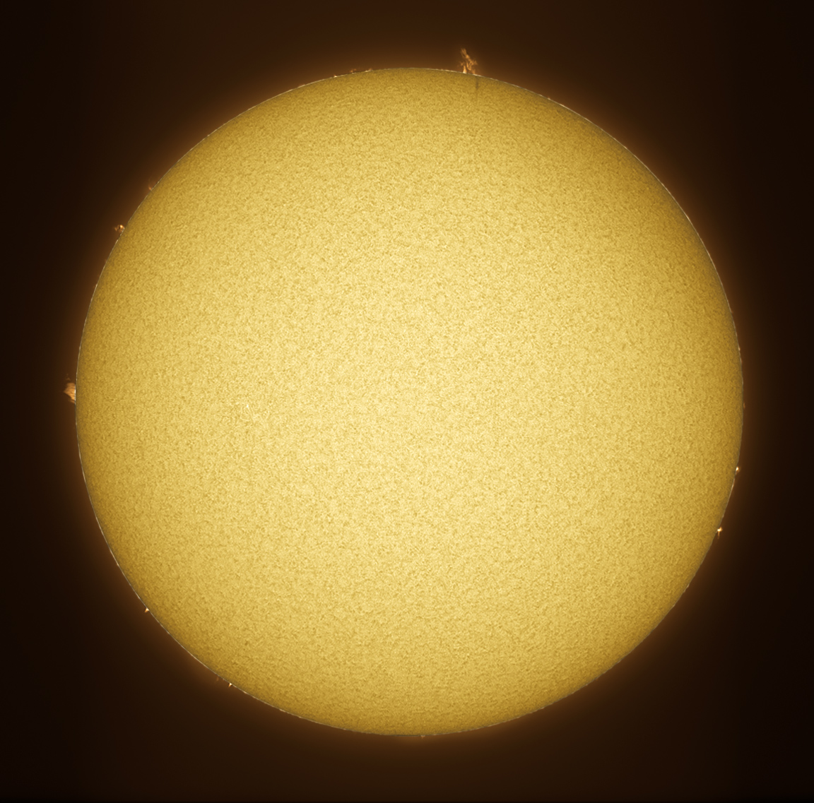 sun20091107