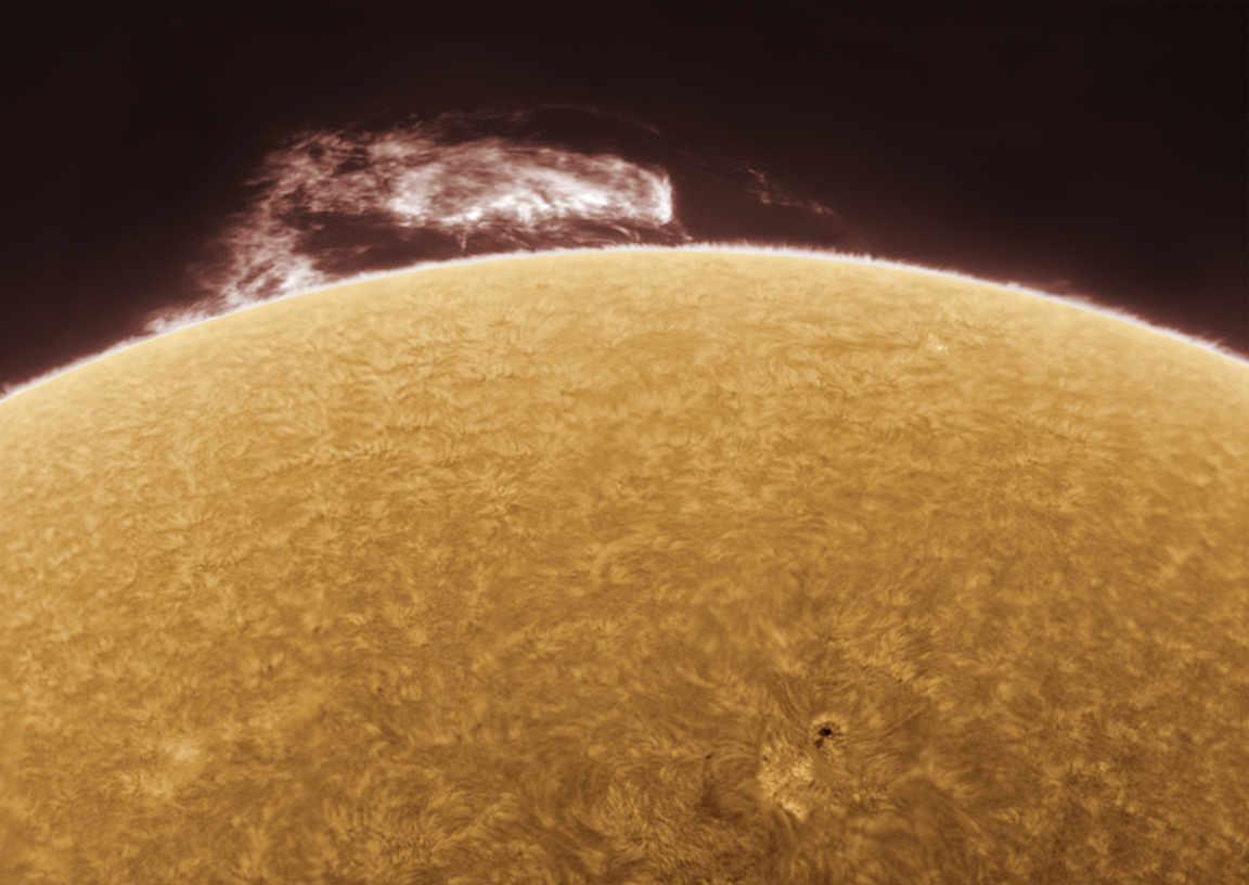 the monster that wouldn't die