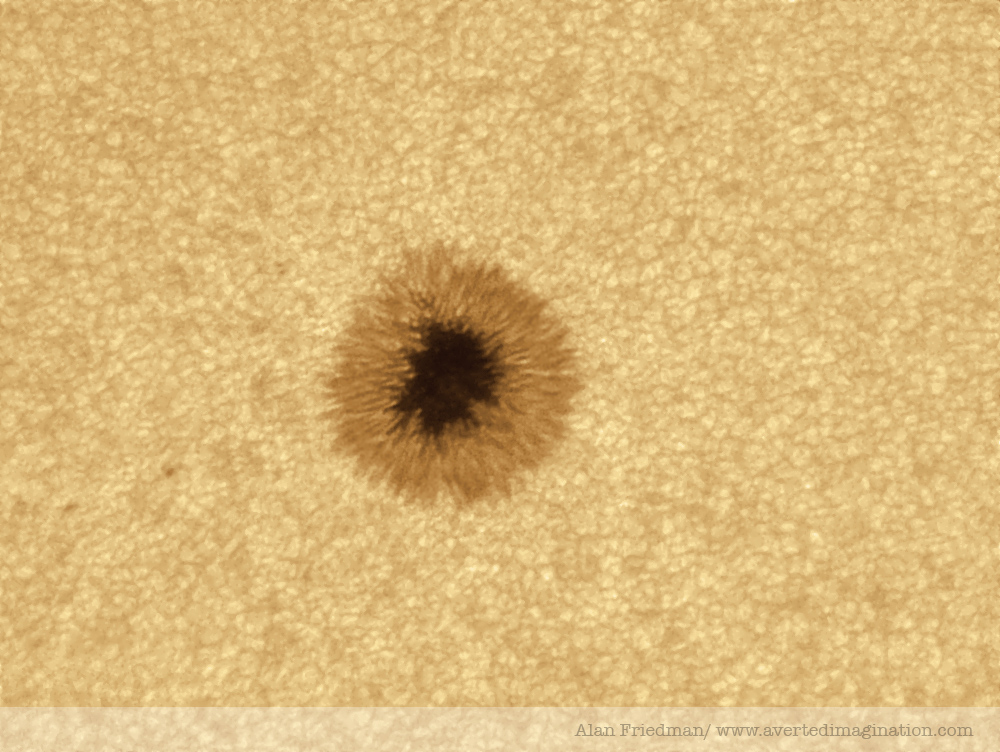 sunspot 1101