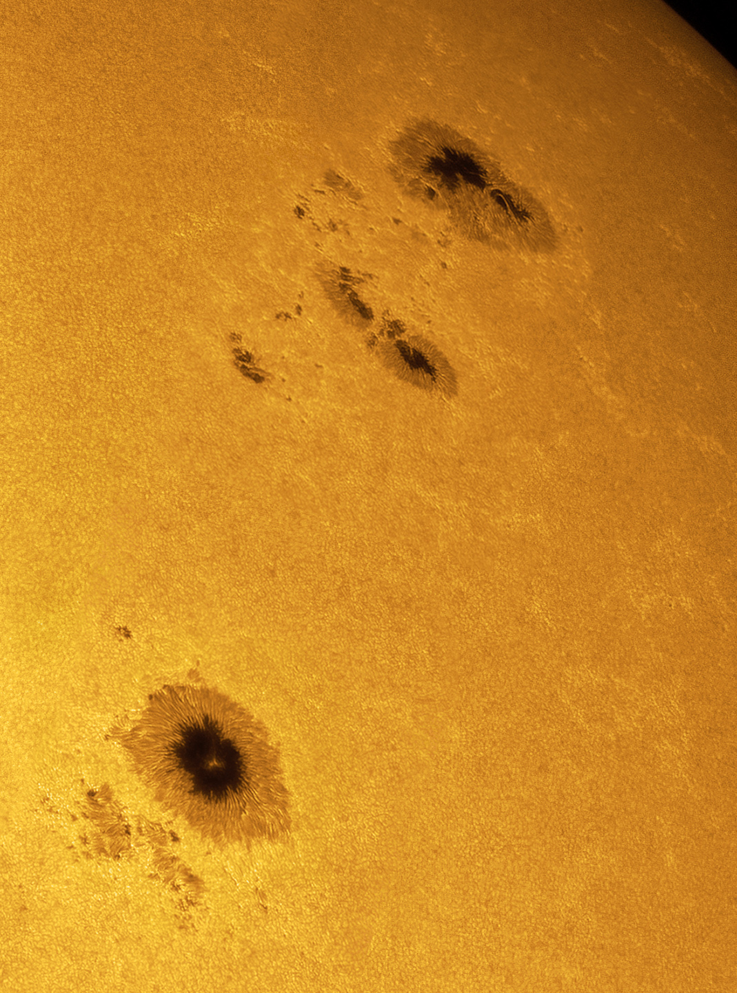 sunspots on parade