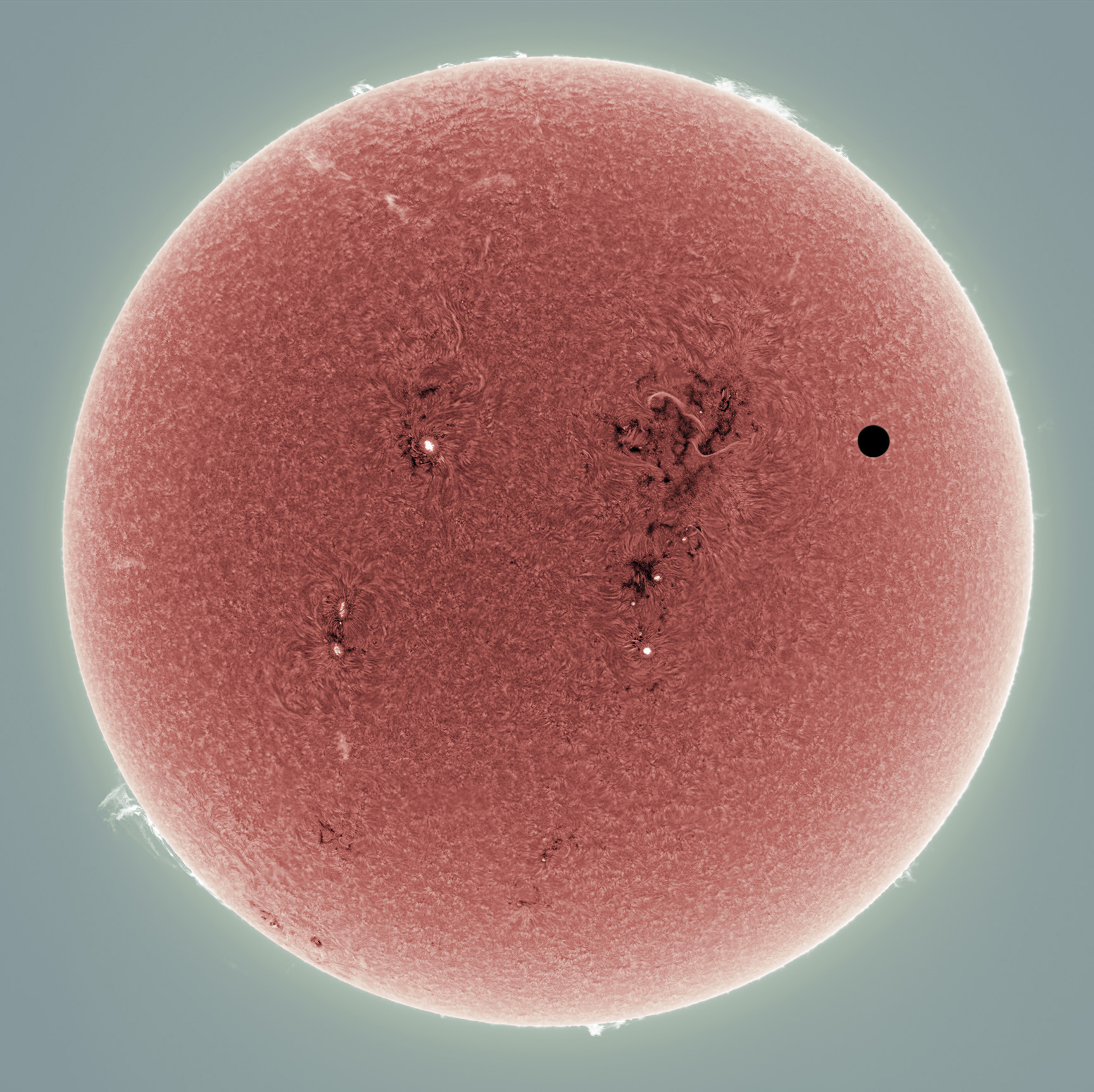 venus transit color