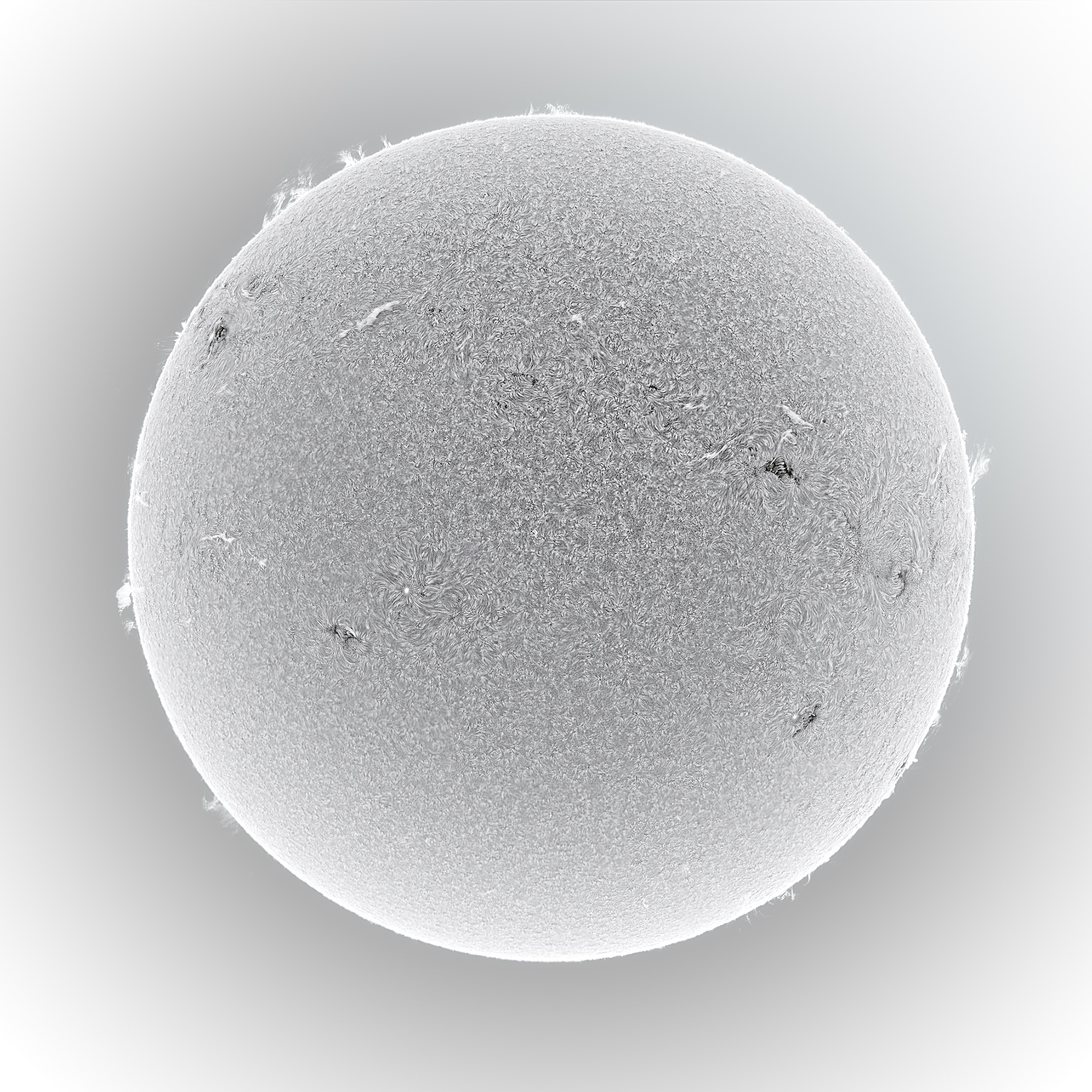 Alan Friedman/ White Sun/ 30 July 2013