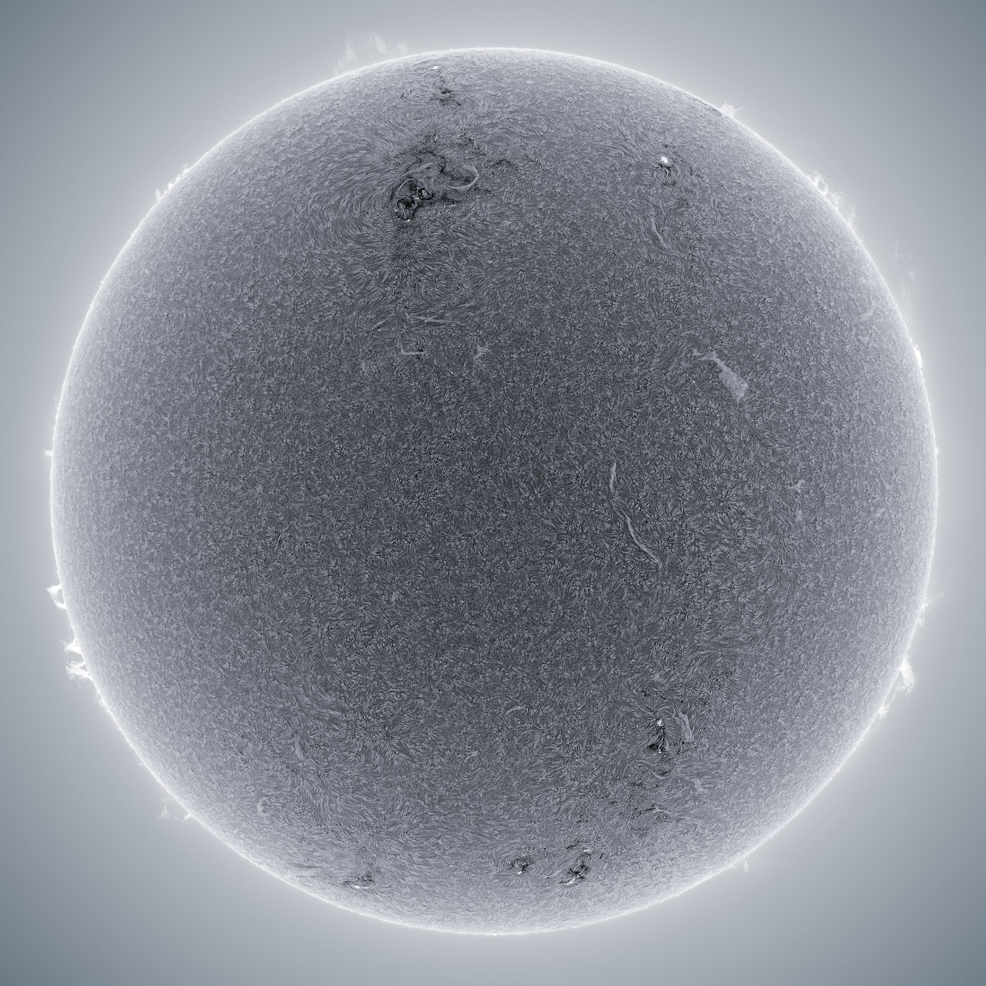 winter sun