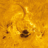 ar798