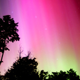 auroras