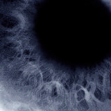 blink of an eye