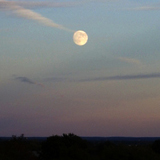 harvest moon