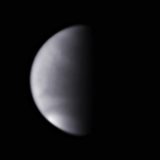 morning star