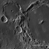 sm pitatus