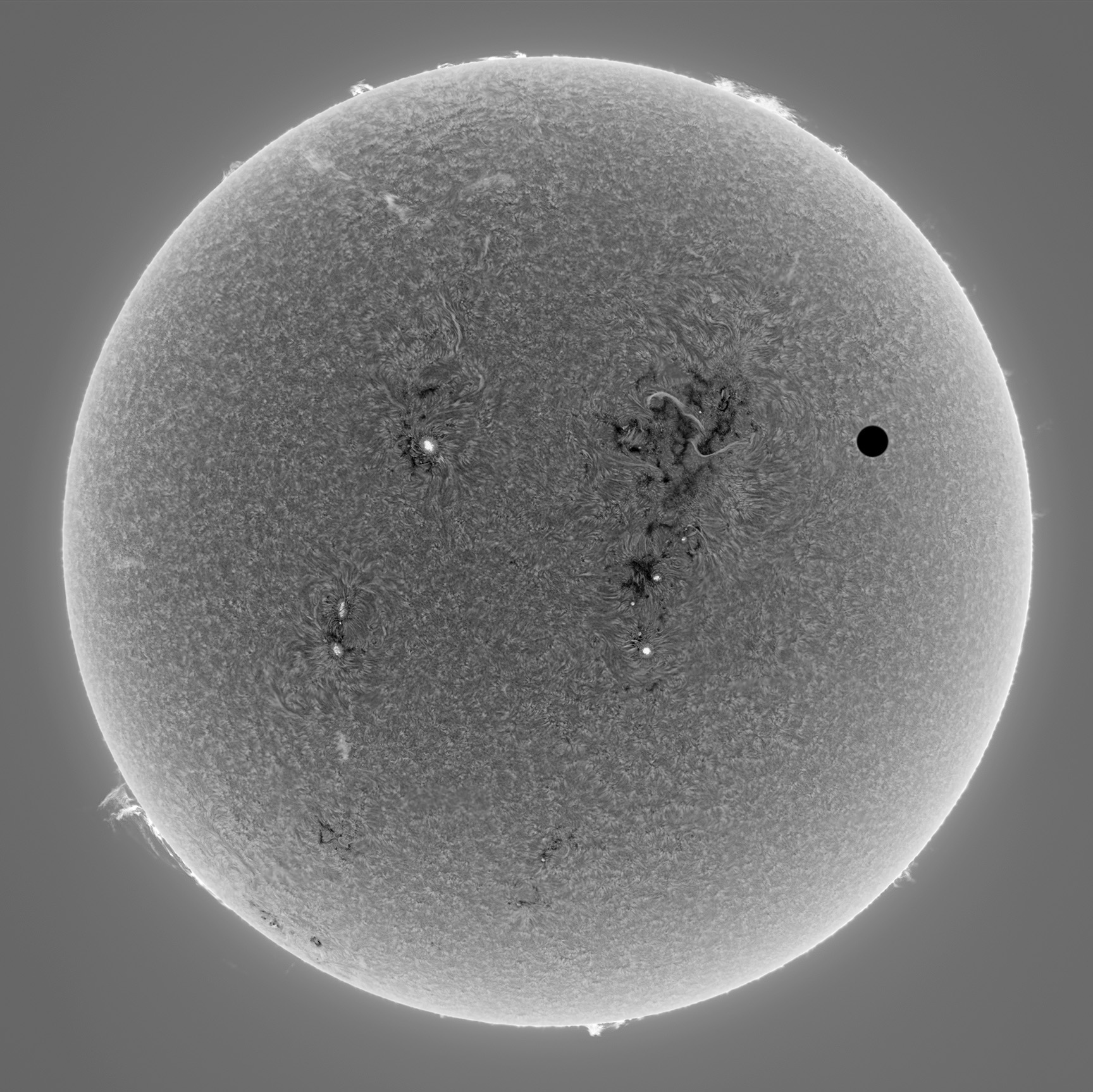 transit of venus BW